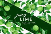 Juicy Watercolor Lime Set, an Illustration by One and Only Paper (Thumbnail 1 of 6)