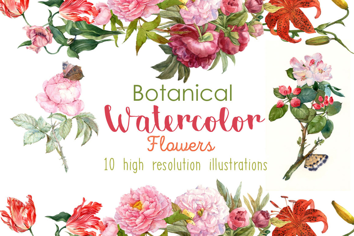 Watercolor botanical flowers, a Decorative Illustration by ivanushka-art (Photo 1 of 5)