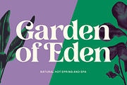 Postre -Stylish Serif, a Serif Font by Fenotype (Thumbnail 7 of 16)