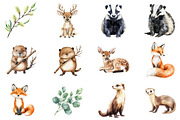 Cute Woodland Animal Clipart, an Illustration by CitraGraphics (Thumbnail 5 of 5)