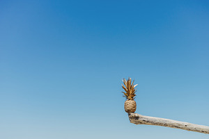 Golden Pineapple Balancing on Wood