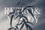 MONOCHROME Gradient & Floral Overlay, a Texture Graphic by Oksana Trygub (Thumbnail 6 of 15)