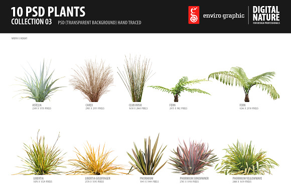 10 PSD Plants Collection 3 preview 6