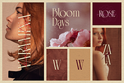 Aqualim Signature - Duo Font, a Serif Font by Burntilldead (Thumbnail 6 of 12)