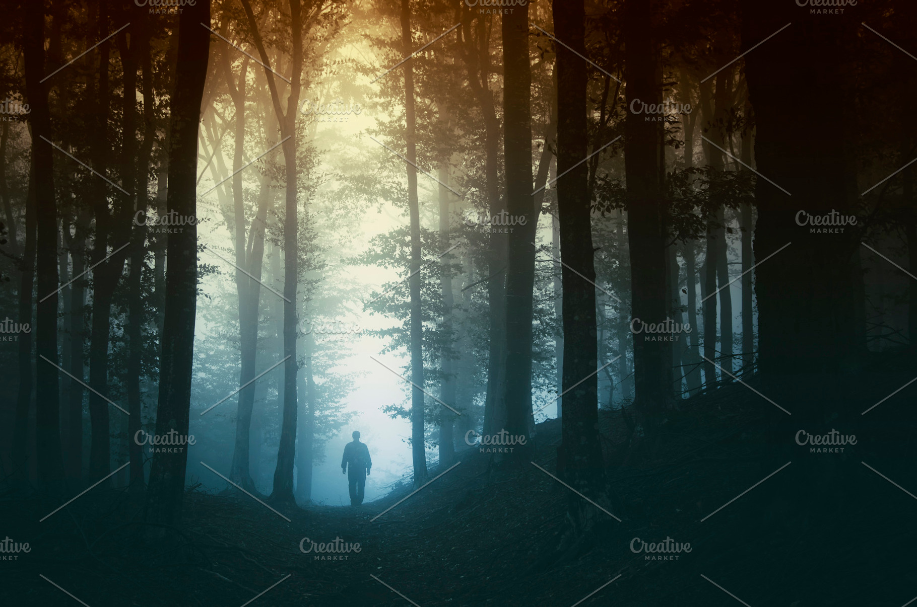Man in mysterious forest Hi-Res, a Nature Photo by Atmospheric visuals