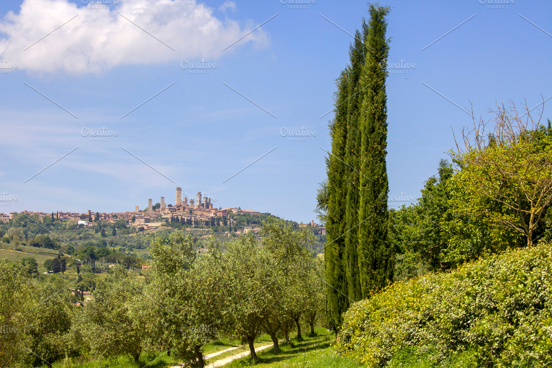 San Gimignano With Vineyards