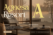 Ragena - Bold Serif Font, a Serif Font by Pixesia Studio (Thumbnail 2 of 10)