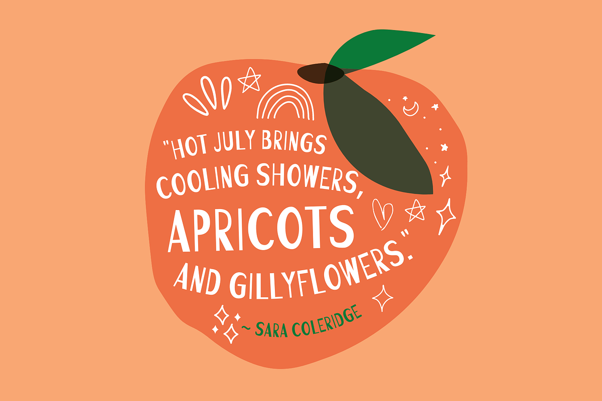 Apricot Jam, a Script Font by Sofia Skoog (Photo 6 of 10)