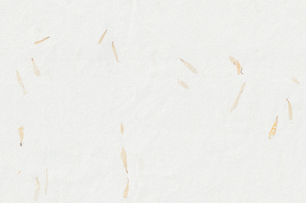 Yellow Petals Paper Texture. Antique Blank Hand Made Blank Sheet Fibers Backgro, a Background Photo by Textures & Backgrounds