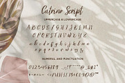 Catrine Script - Handwritten Script, a Script Font by Nahar_std (Thumbnail 12 of 12)