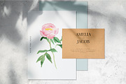 Watercolor peonies, an Object Graphic by Anastasia Timosch (Thumbnail 5 of 9)