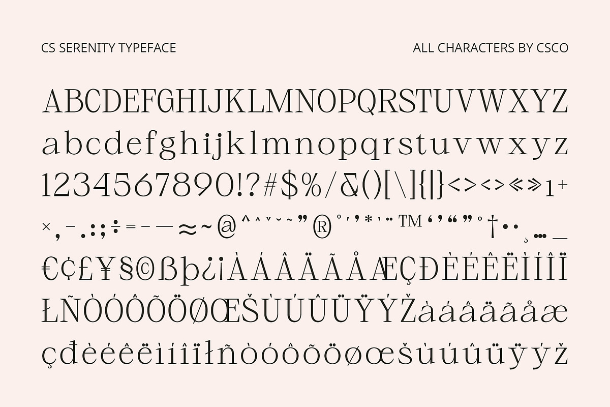 CS Serenity – Elegant Font, a Serif Font by Craft Supply Co. (Photo 8 of 8)