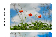 Natura Landscapes Lightroom Presets, an Action Add-On by Naybella (Thumbnail 5 of 5)