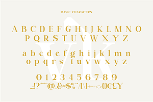 Ring Netlike - Classic Serif Font