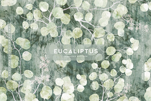 Eucaliptus