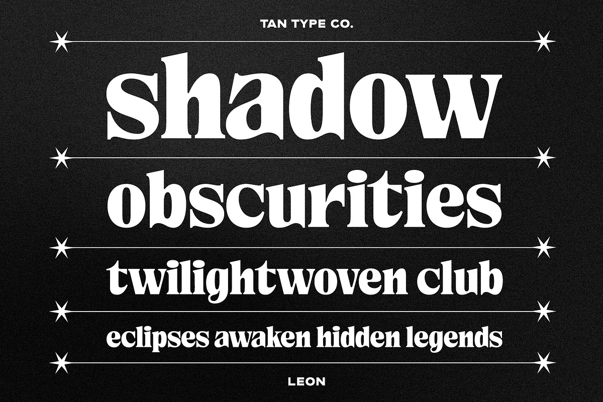 TAN - LEON, a Serif Font by TanType (Photo 9 of 10)