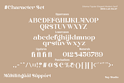 Dilema Figular - Elegant Modern Font, a Serif Font by Say Studio (Thumbnail 10 of 11)