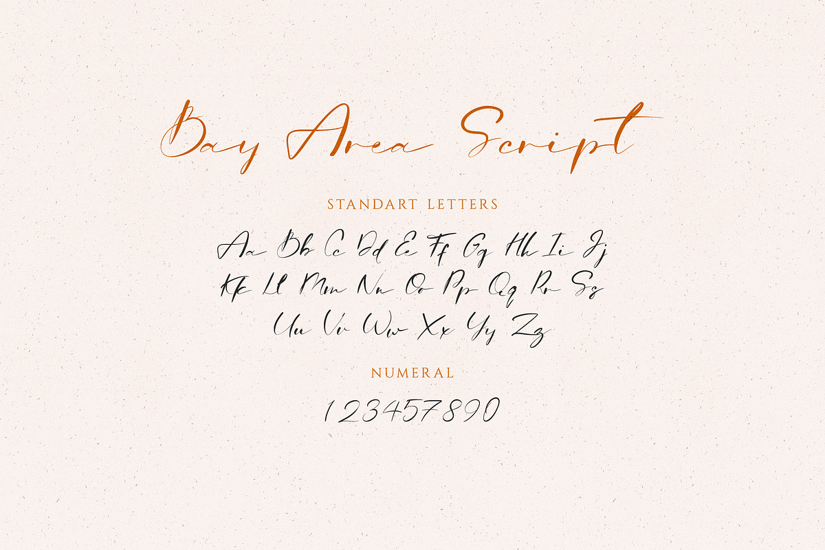 Bay Area Font Family, a Script Font by Spasibenko Art (Photo 13 of 18)