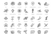 Set of Flowers and Herbs Icons, a Healthcare Illustration by Tettygreen (Thumbnail 3 of 4)