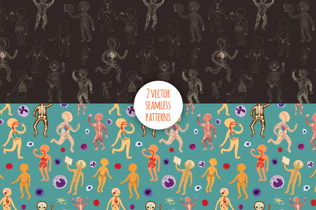 Human Anatomy for kids, an Education Illustration by Shusha Guna Art (Photo 6 of 9)