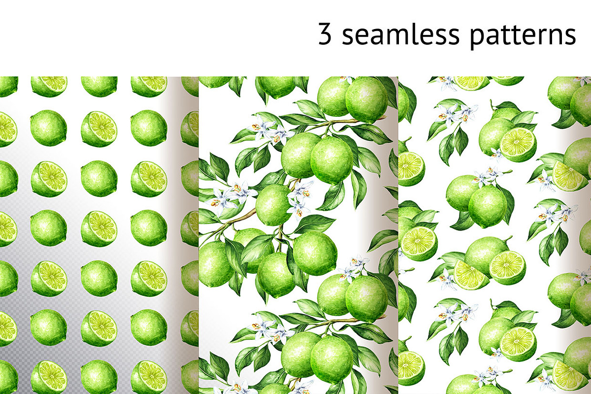 Lime citrus. Watercolor collection, a Food Illustration by Daria Ustiugova (Photo 21 of 21)