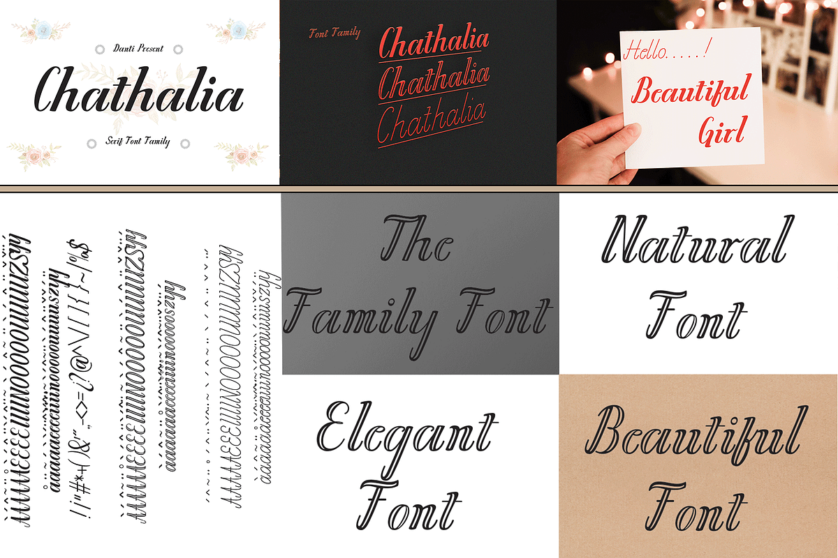 THE COLLECTION BUNDLE, a Script Font by danti (Photo 14 of 31)