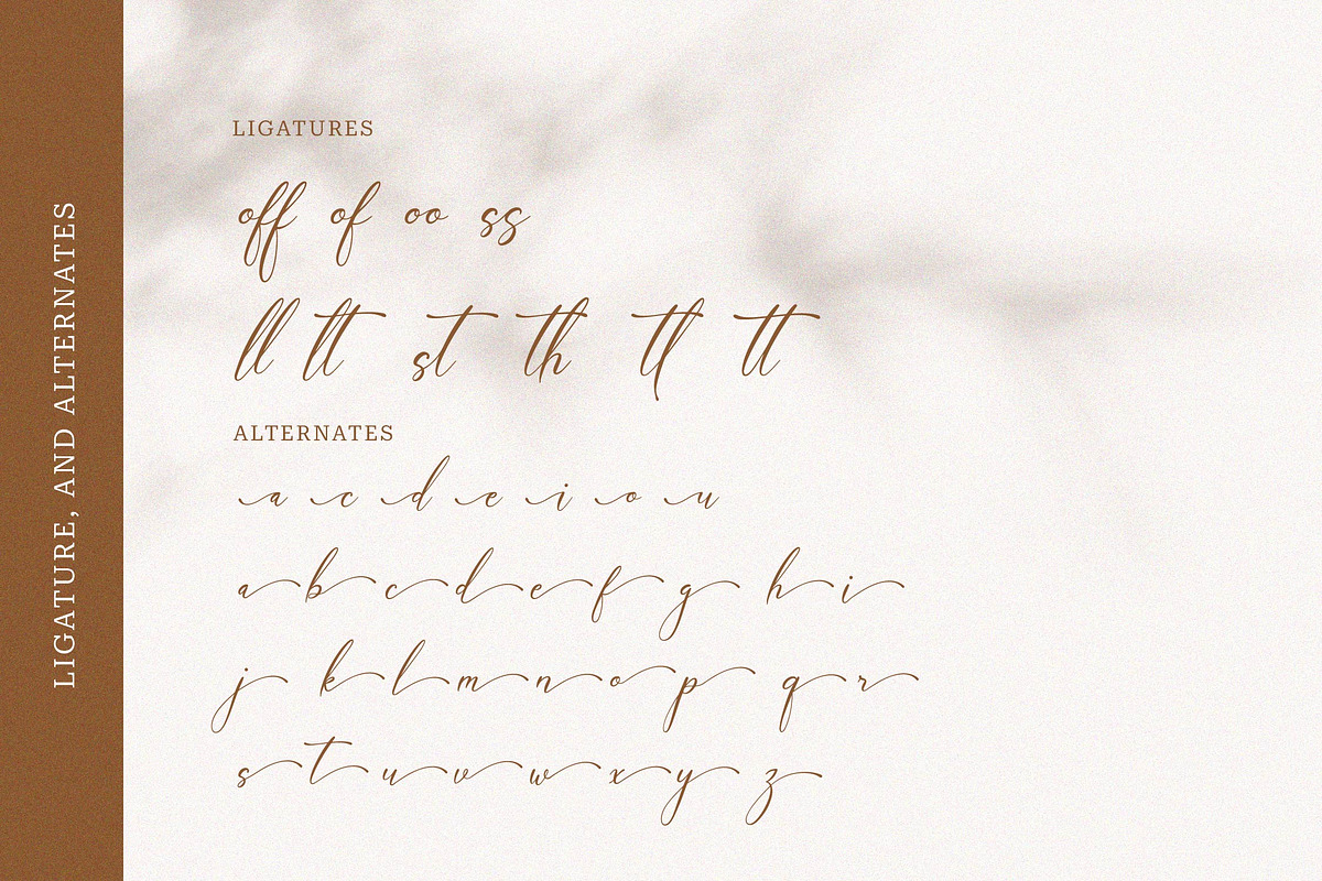 Funittey – Classy Script, a Script Font by gracetype_studio (Photo 12 of 13)