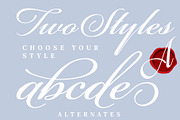 Winter Fonts Bundle, a Script Font by Andfonts (Thumbnail 6 of 8)