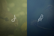 17 Geometric Animal Icons and Logos, a Branding & Logo Template by VP Fonts (Thumbnail 7 of 33)