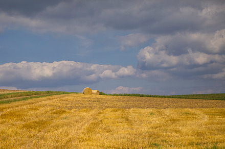 Hay in the field featuring agricultural, agriculture, and background, a Nature Photo by Patricia Hofmeester