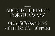 Broke Elegant Serif Font Typeface, a Serif Font by Perfectype (Thumbnail 7 of 7)