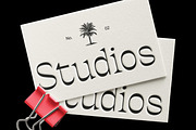 Ronders Reverse Contrast Font, a Serif Font by Genetype (Thumbnail 4 of 10)