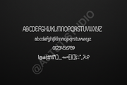 Ciruyi - Elegant High-Contrast Displ, a Font by Astuti Studio (Thumbnail 2 of 16)