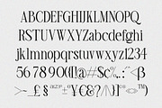 TBJ Olivia Nineties Classy Serif, a Serif Font by Taboja Studio (Thumbnail 9 of 10)