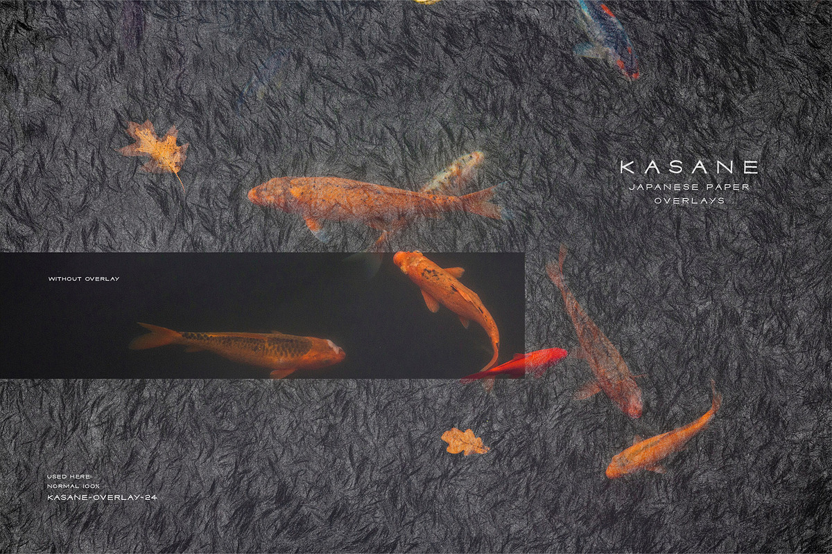 Kasane - Japanese Paper Overlays, a Texture Graphic by alonahaidash (Photo 2 of 22)