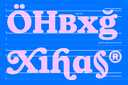 65% OFF Naiche Font Family, a Serif Font by Sundance Tipografia (Thumbnail 3 of 15)