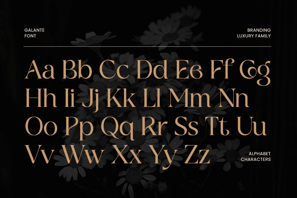 Galante Branding Luxury Font Family, a Serif Font by Sensatype (Photo 16 of 21)