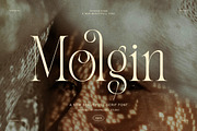 Molgin Elegant Modern Serif Font, a Serif Font by Graphicxell (Thumbnail 1 of 8)