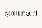 Branch - Modern Ligature Serif, a Serif Font by Sans & Sons (Thumbnail 6 of 11)