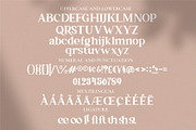 Thellor, a Serif Font by blunesia (Thumbnail 5 of 8)