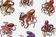 Sea octopus set. Creature drawing., an Animal Illustration by Arthur Balitskiy (Thumbnail 1 of 4)