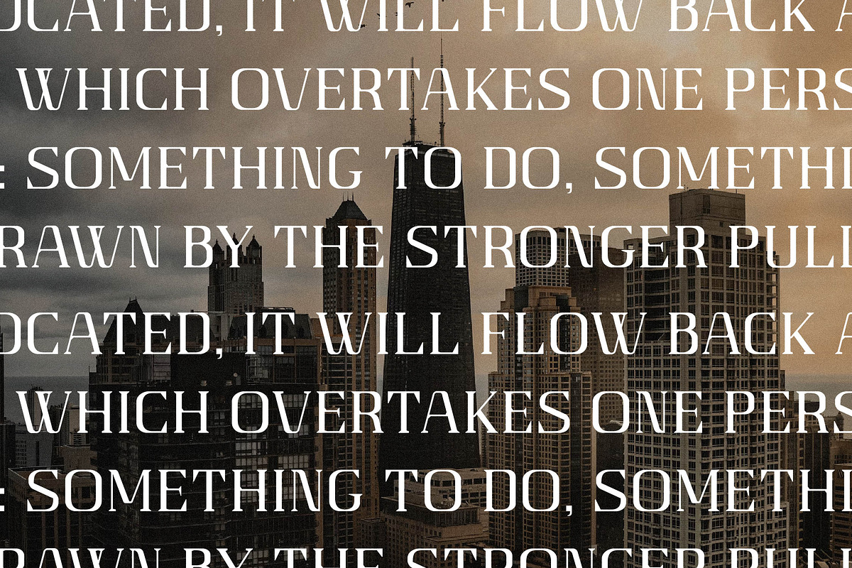 Gaines Display Serif Font, a Serif Font by Storytype Studio (Photo 10 of 14)