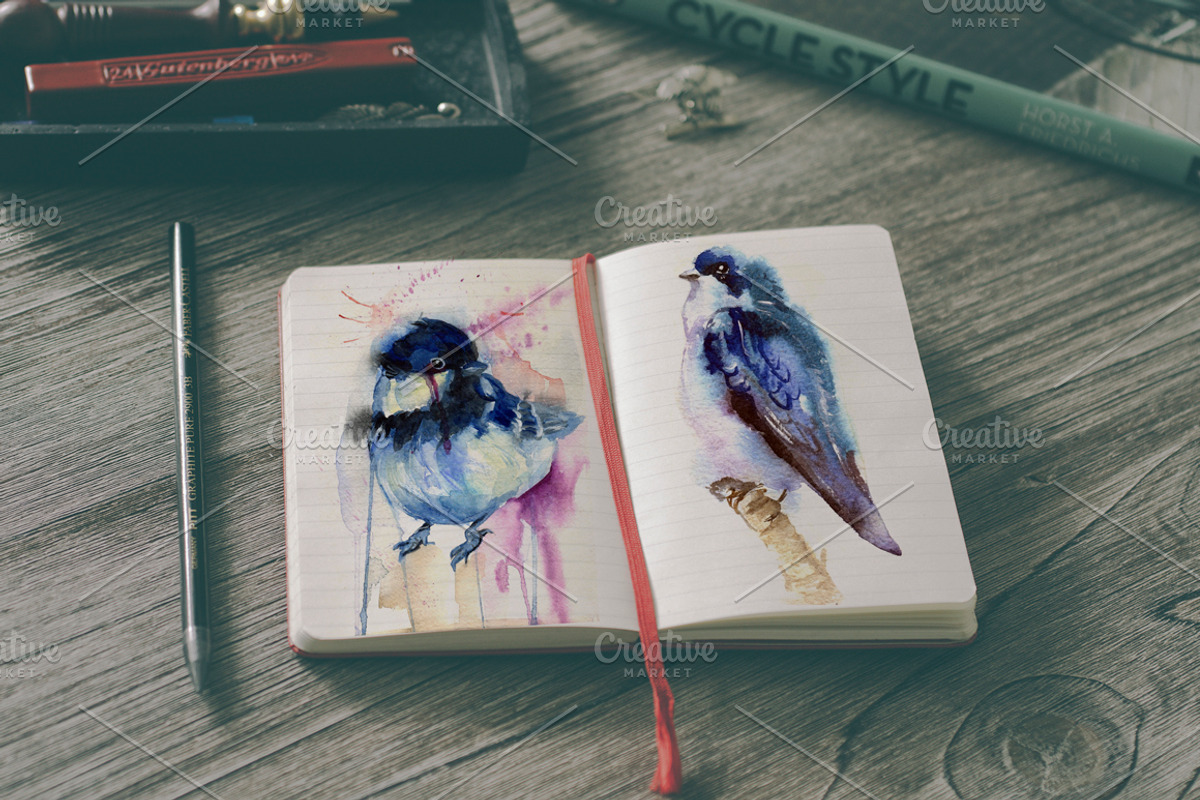 Watercolor illustration with bird, an Animal Illustration by Vavavka (Photo 2 of 5)