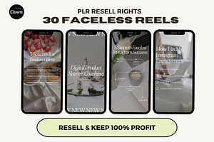 PLR Ebooks Bundle MRR Resell Rights