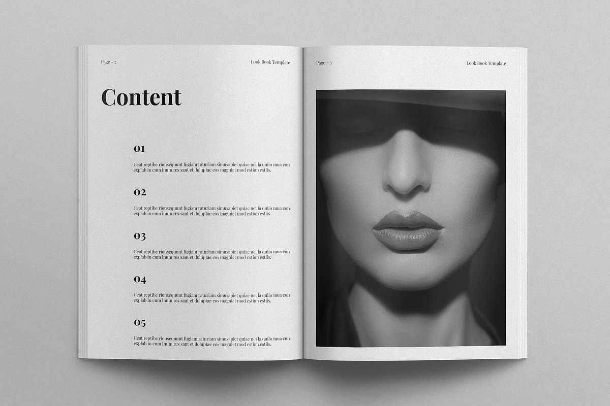 Look Book Template, a Magazine Template by E-Type (Photo 2 of 7)