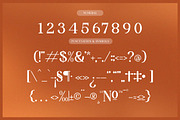 Reihard Sejenak | Modern Serif, a Serif Font by Denustudios (Thumbnail 11 of 13)