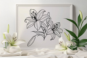 Lily Flowers Line Art SVG