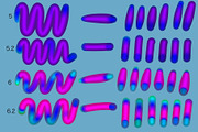 3D brushes for Procreate, a Brush Add-On by Veronika Gotovceva (Thumbnail 4 of 5)
