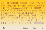 CS Anthea Disco, a Serif Font by Craft Supply Co. (Thumbnail 8 of 8)