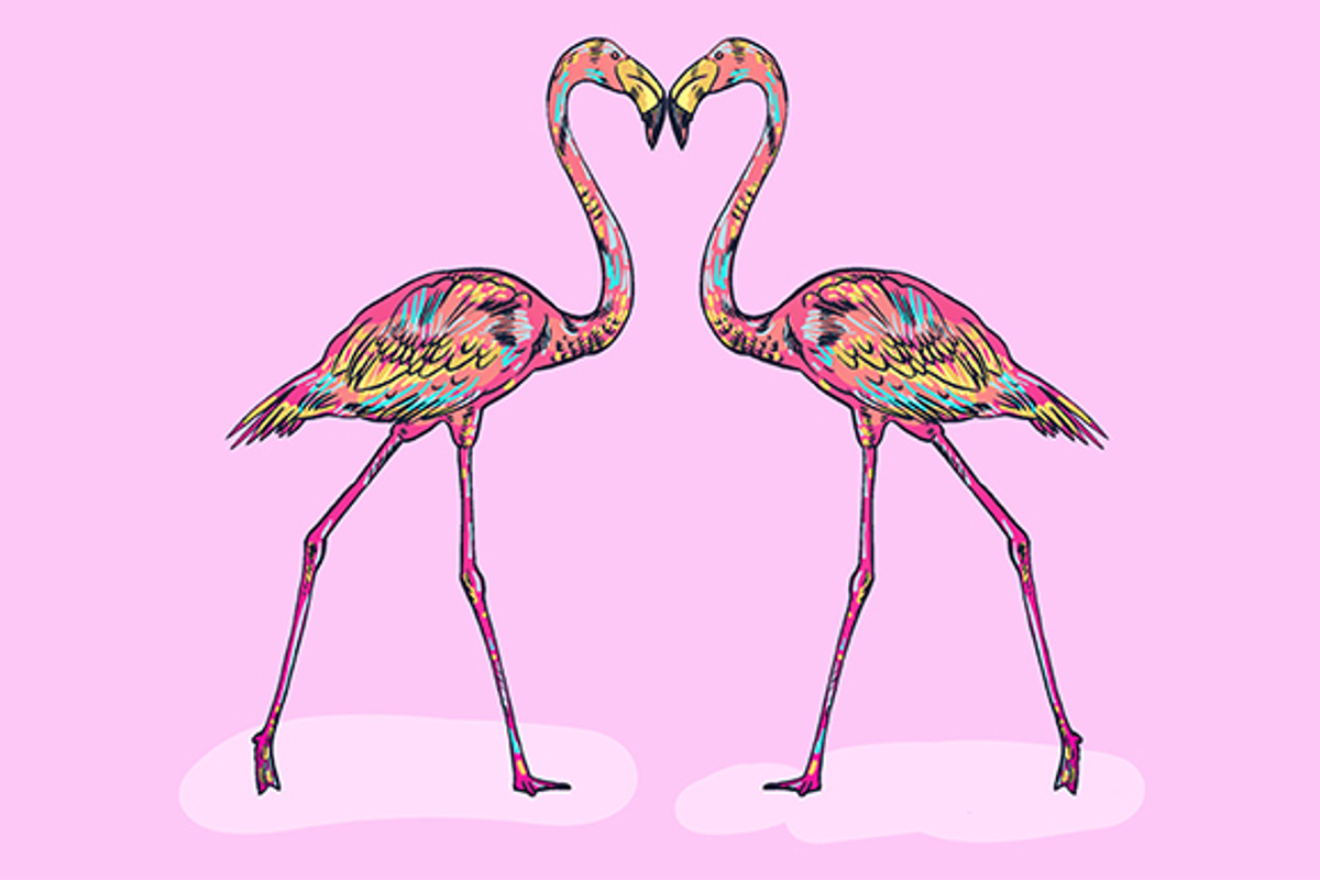 FLAMINGO, an Illustration by Tanya Akhmett (Photo 2 of 11)
